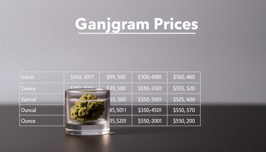Marijuana Price: What Is The Cost Of A Gram Of Weed?