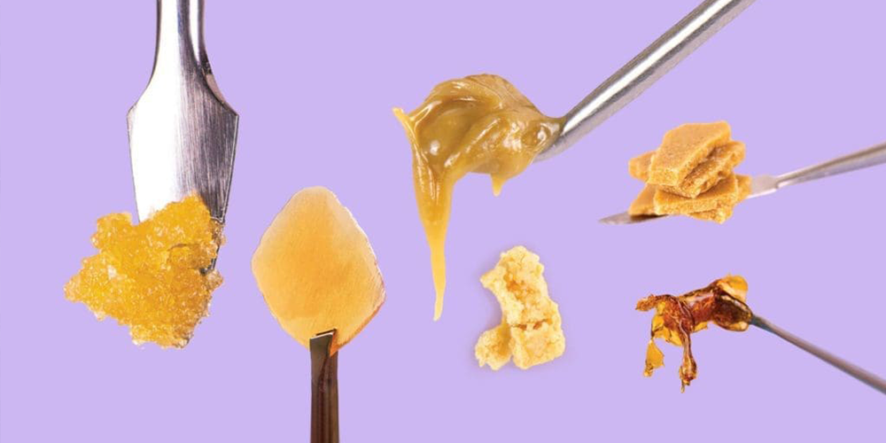 Explore the Different Types of Wax Dabs